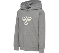 Sweatshirt à capuche enfant Hummel Regular Tukas Gris 13/14 ans