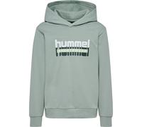 Sweatshirt à capuche enfant Hummel Tukas Vert 16 ans