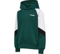 Sweatshirt à capuche enfant Hummel Vert 13/14 ans
