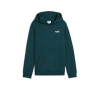 Sweatshirt à capuche enfant Puma Essentials 2 16 ans