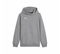 Sweatshirt à capuche enfant Puma teamGoal Gris 14 ans