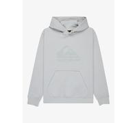 Quiksilver - Kid's Comp Logo Hoodie - Sweat à capuche - 14 - micro chip