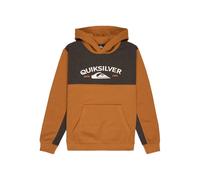 Quiksilver Knowledge Area Hoodie Jaune 16 Years Garçon