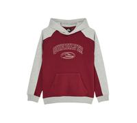 Quiksilver No Teacher Hoodie Rouge 16 Years Garçon