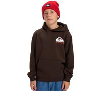 Quiksilver Omni Logo Hoodie Marron 16 Years Garçon