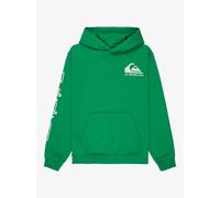 Quiksilver Sweat à capuche Omni Logo Hoodie en polaire Garçon 8-16 ans Vert