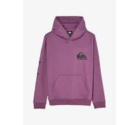 Sweatshirt Ã capuche enfant Quiksilver Omni Logo Violet 16 ans