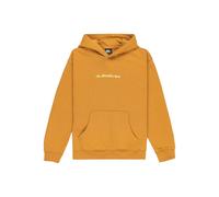 Quiksilver Salt Water Graphic Hoodie Jaune 16 Years Garçon