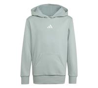 adidas - Kid's Essentials Hoodie - Sweat à capuche - 164 - wonder sage / white