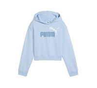 Sweatshirt à capuche fille Puma Essentials 2 8 ans