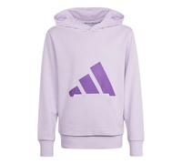 Adidas Essentials Hoodie Violet 13-14 Years Enfants