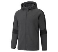 Sweatshirt Ã capuche Full-zip Puma Evostripe Core Gris XS