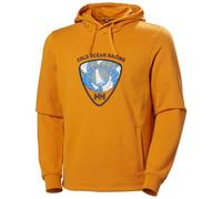 Sweatshirt à capuche Helly Hansen Arctic Ocean 2.0 Jaune M