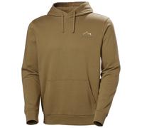 Sweatshirt à capuche Helly Hansen Massif Graphic Marron L