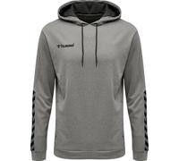 Sweatshirt à capuche Hummel hmlAUTHENTIC Poly Gris S
