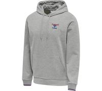 Hummel Sweatshirt à capuche IC Dayton Gris M