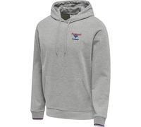 Hummel Sweatshirt à capuche IC Dayton Gris M
