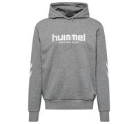 Sweatshirt à capuche Hummel Legacy 2.0 Gris L