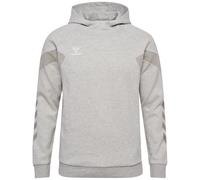 Sweatshirt à capuche Hummel Travel Gris S