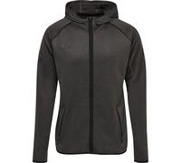 Sweatshirt à capuche Hummel Zip hmlAUTHENTIC Pro Gris S