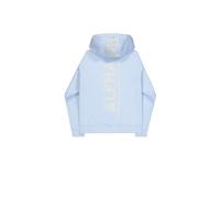 Sweatshirt à capuche imprimé au dos Alpha Industries Bleu S