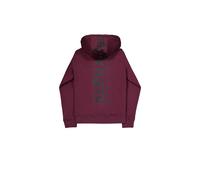 Sweatshirt à capuche imrimé en arrière Alpha Industries Rouge S