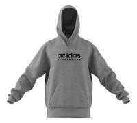 Adidas All Szn Hoodie Gris L / Regular Homme