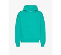 Sweatshirt à capuche oversize Colorful Standard Tropical Sea Vert L