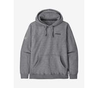 Sweatshirt à capuche Patagonia Fitz Roy Icon Uprisal gris clair - S