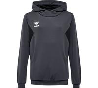 Sweatshirt à capuche polyester enfant Hummel Authentic Gris 14 ans