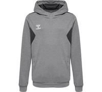Sweatshirt à capuche polyester enfant Hummel Authentic Gris 14 ans