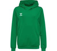 hummel Sweat à Capuche Hmlauthentic Multisport Enfant Taille