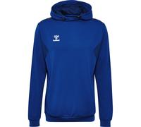 Hummel Authentic Pl Hoodie Bleu S Homme