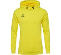 hummel Hmlauthentic Sweat à Capuche pour Homme