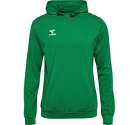 hummel Hmlauthentic Multisport Sweat à Capuche pour Homme Taille