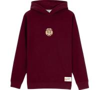 Sweatshirt à capuche Puma GSSTORE X Reflect Studio Lion Hoody 8682917275256 taille XXL EU