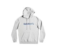 Sweatshirt Ã capuche Quiksilver All Lined Up Gris S