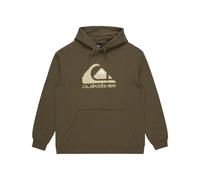 Sweatshirt Ã capuche Quiksilver Big Logo Vert XS