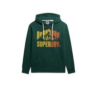 Superdry Mountain Rainbow Hoodie Vert L Homme