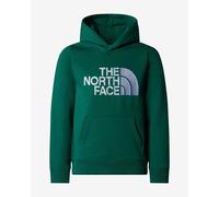 Sweatshirt à capuche The North Face Drew Peak vert foncé logo gris enfant - XS