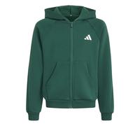 Adidas Sweat à capuche zippé enfant Collegiate Typography Vert 13/14 ans