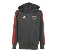 Sweatshirt à capuche zippé enfant Audi Formula One Team DNA Noir 15/16 ans