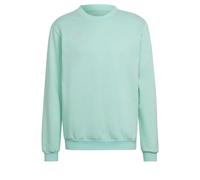 Sweatshirt adidas Entrada 22 Vert M Male