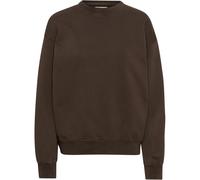 Sweatshirt col rond Colorful Standard Organic oversized coffee brown Marron S
