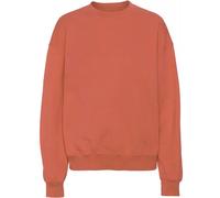 Sweatshirt col rond Colorful Standard Organic oversized dark amber Orange M