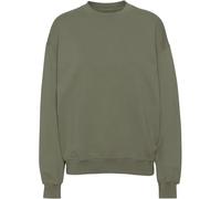Sweatshirt col rond Colorful Standard Organic oversized dusty olive Vert M