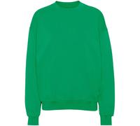 Sweatshirt col rond Colorful Standard Organic oversized kelly green Vert M
