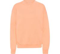 Sweatshirt col rond Colorful Standard Organic oversized paradise peach Rose L