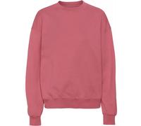 Sweatshirt col rond Colorful Standard Organic oversized raspberry pink Rose L