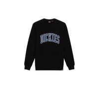 Sweatshirt Dickies Aitkin Bleu S
